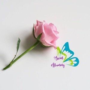 Meet your Posher, Alexandria